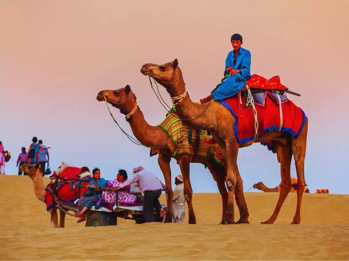 Rann of Kutch Exploration