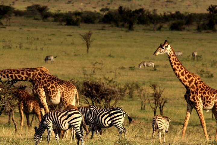Durban Getaway: A Gateway to South Africa’s Delights