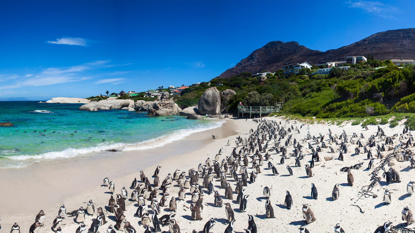 South Africa Holiday Packages: A Journey of Wonders