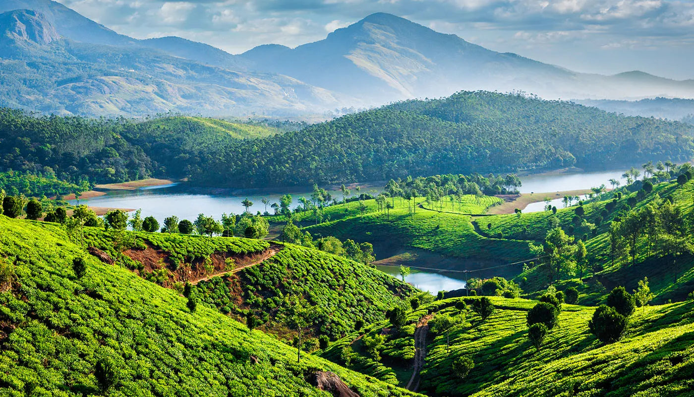 Enchanting Kerala Tour