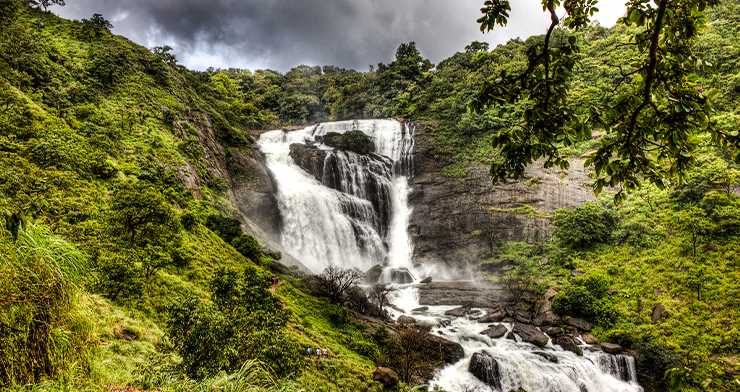 Escape to Coorg