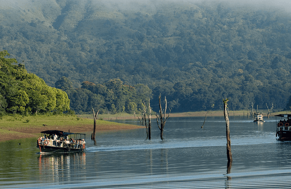 Day outing - Gavi safari
