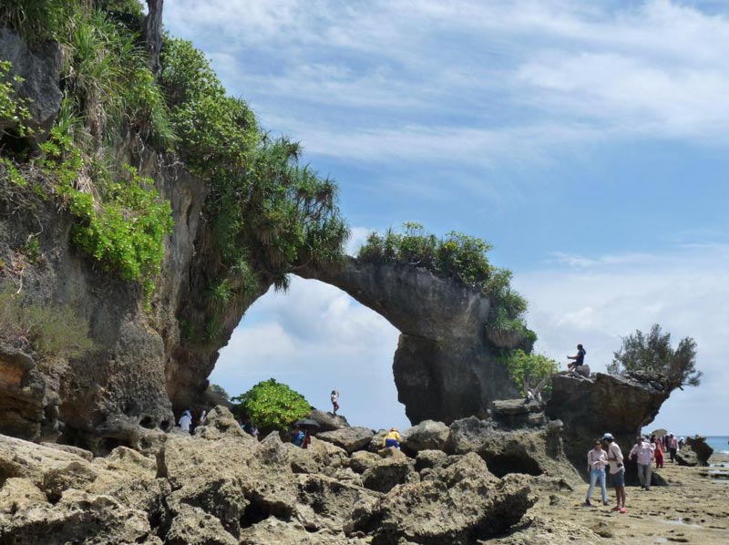 Fascinating Andaman Havelock Island Package