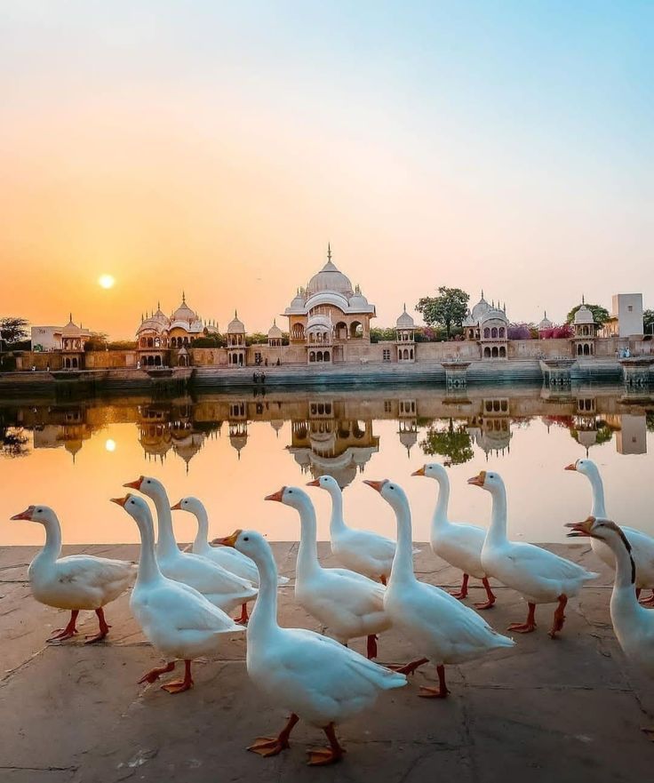 Special Delhi Mathura Vrindavan Package