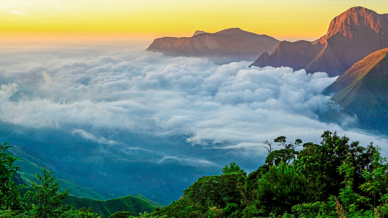 Kolukkumalai Peak Camp