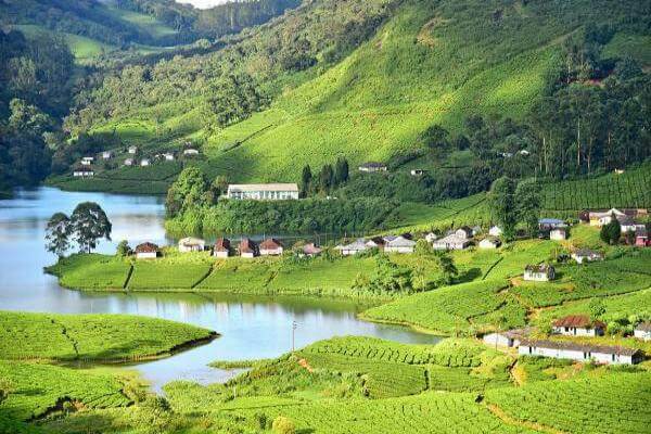 Munnar Luxe Glamping
