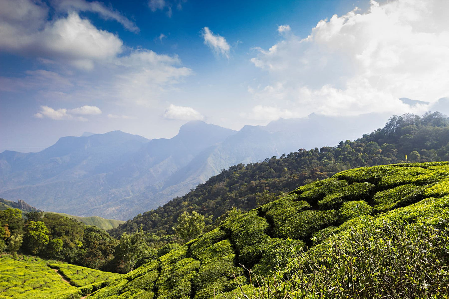 Enchanting Kerala Tour