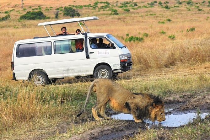 Unveiling Kenya’s Natural Beauty: An Adventure Safari Tour Package from Nairobi