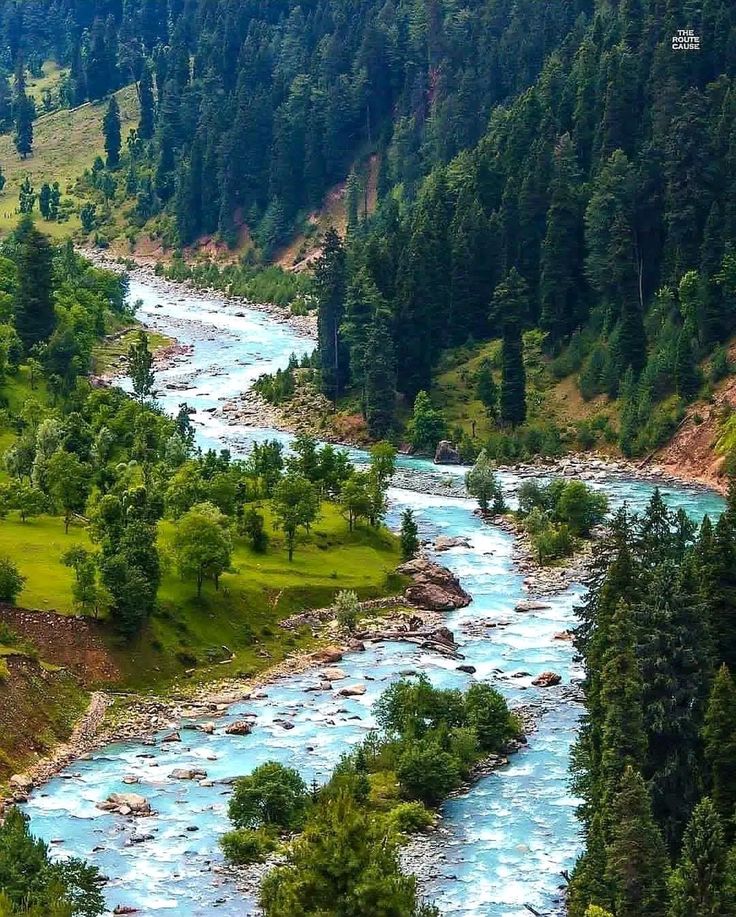 Charming Srinagar Gulmarg Tour