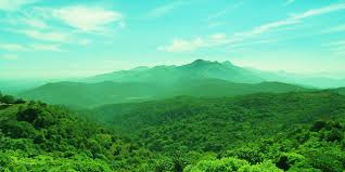 Picturesque Mysore Coorg Package