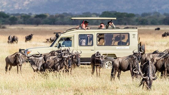 Safari Adventure in Tanzania: A 7-Day Journey from Arusha to Tarangire