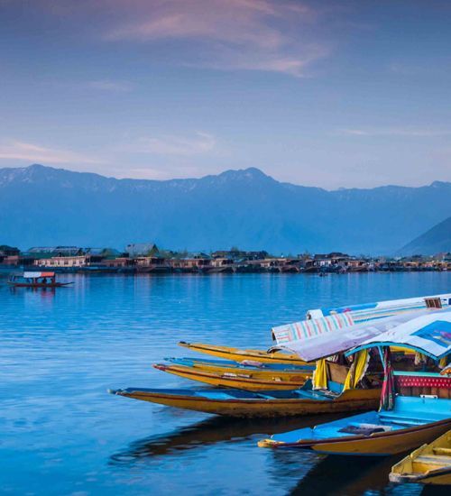 Charming Srinagar Gulmarg Tour