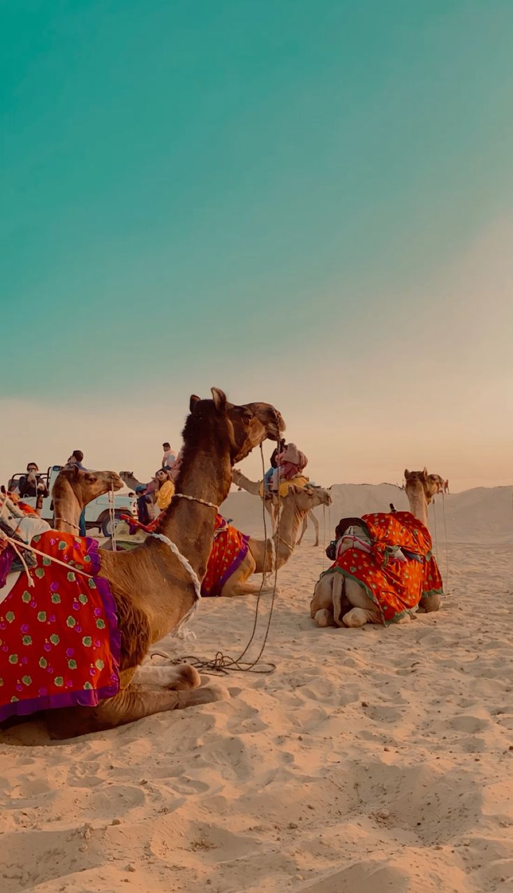 Regal Rajasthan Special Holiday Package