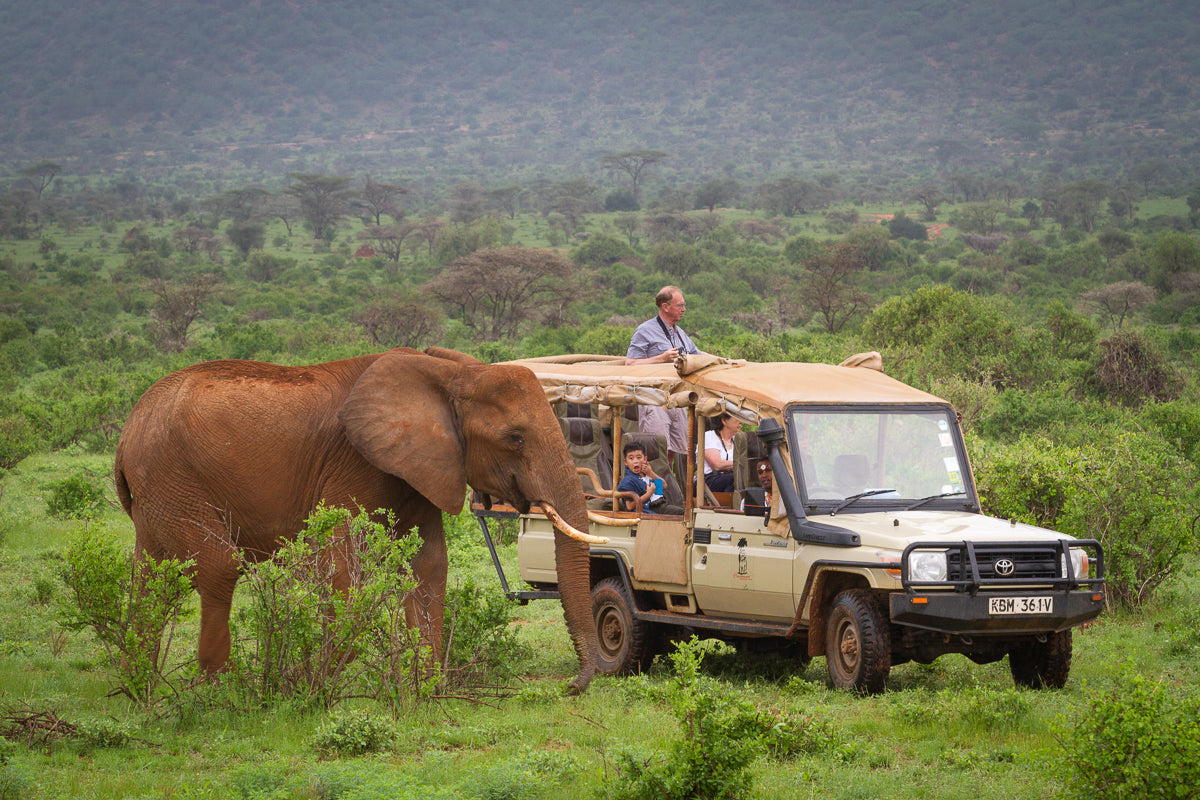 Kenya’s Wildlife Extravaganza: The Ultimate Samburu Safari Tour Package