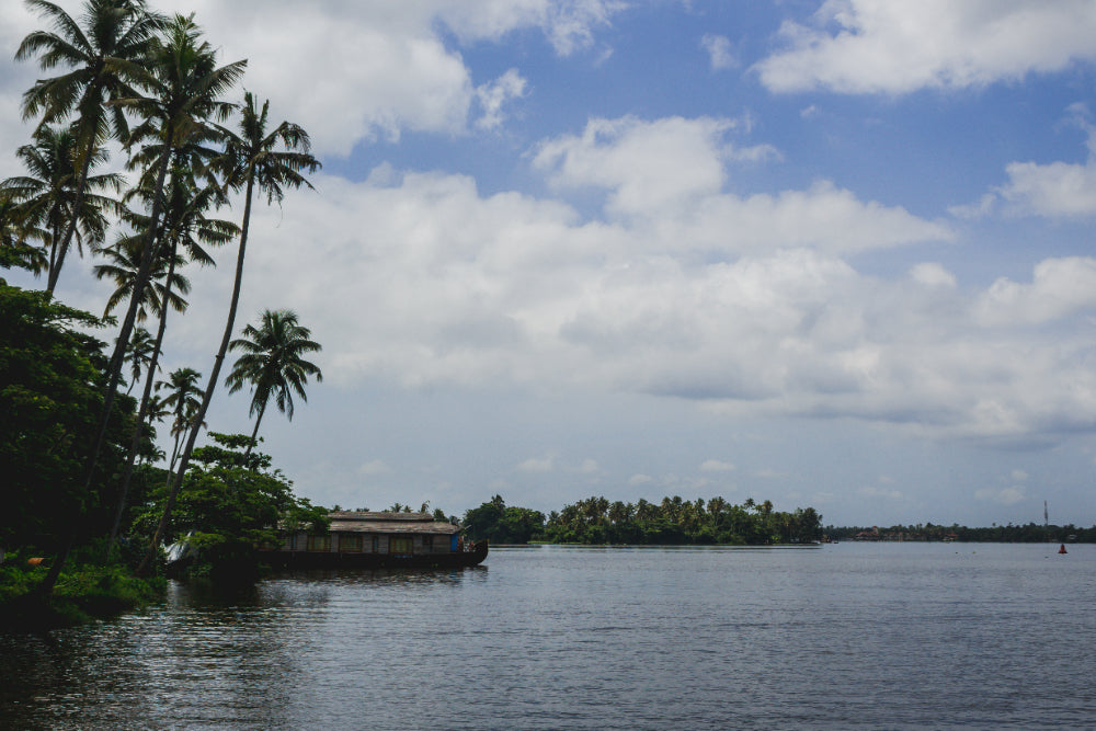 Kerala Beaches