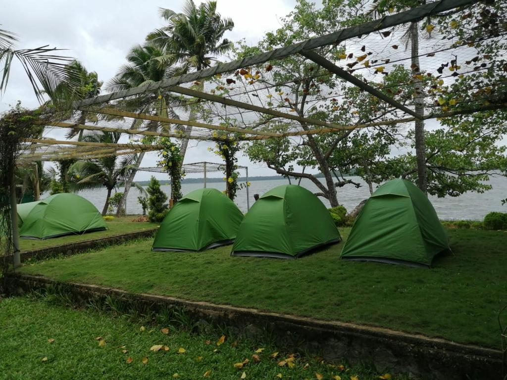 Munroe Island Camping