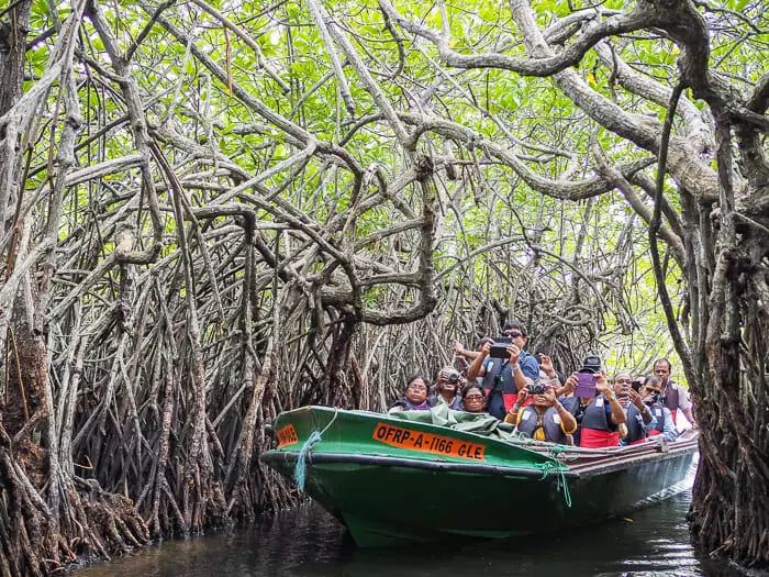 Tropical Colombo Trip Package