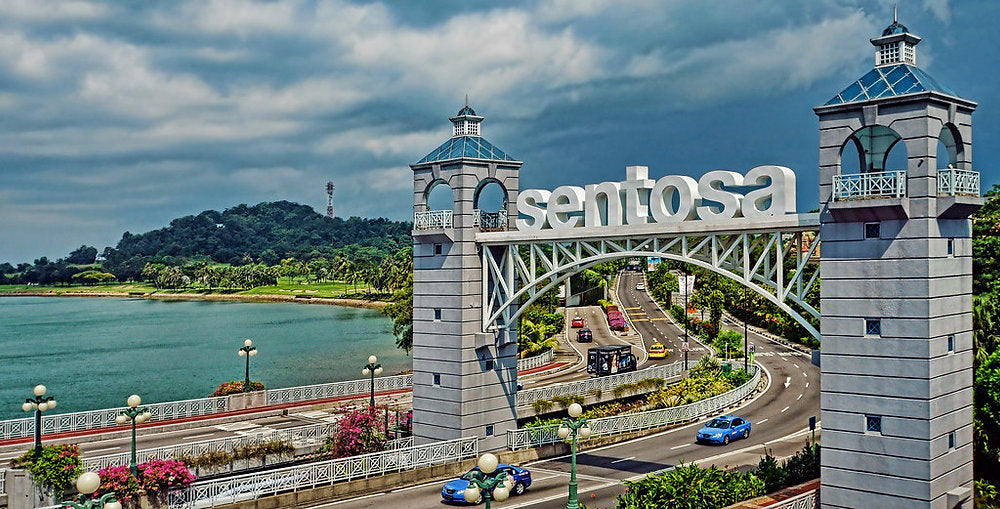 Singapore Delight