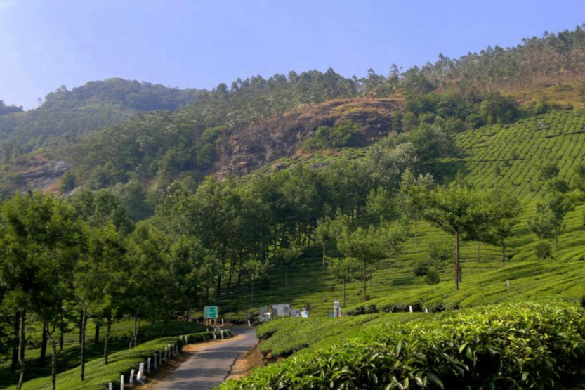 Mesmerizing Kerala Backwaters Tour Package
