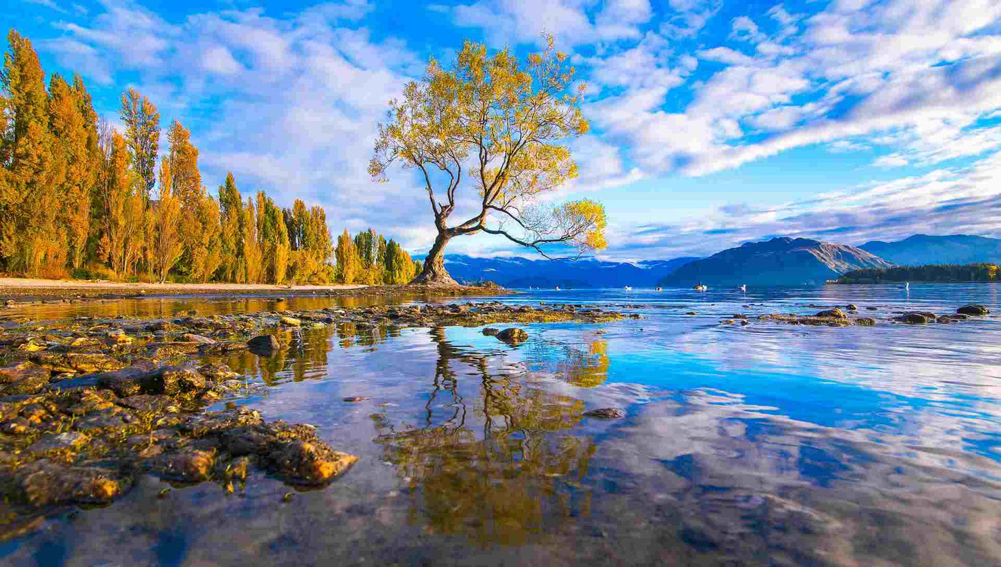 Mesmerizing New Zealand Tour