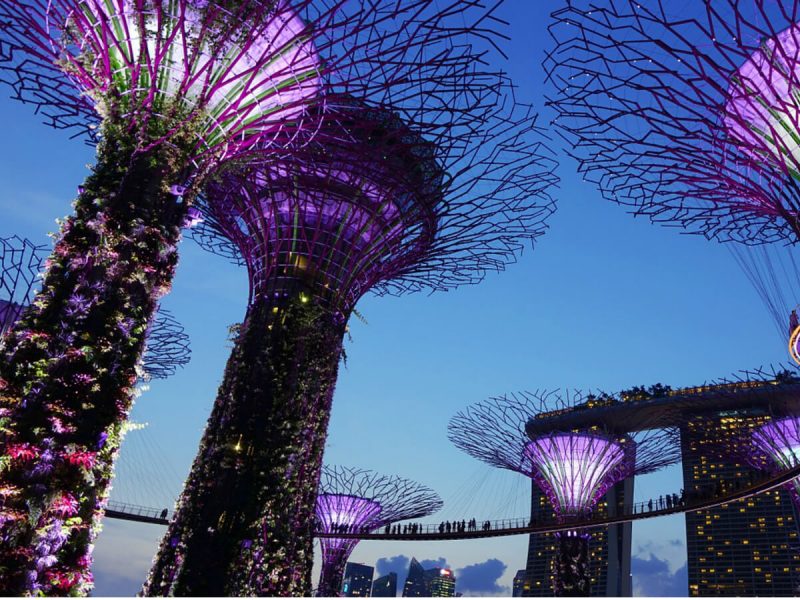 Sizzling Singapore Tour with Bintan